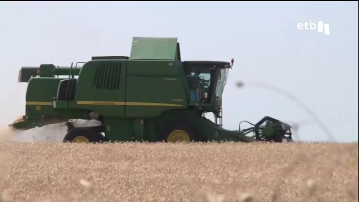 El Gobierno de Navarra ha anunciado que, desde el viernes, la normativa relacionada con el trabajo agrícola para los días de alerta naranja va a ser flexibilizada. En Álava, la cosecha se recoge desde el martes, después de dos días de parada.