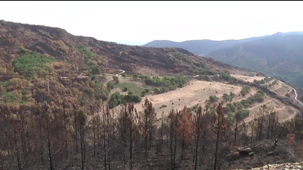 EITB Media ha estado en Arguiñáriz, en el municipio de Guirguillano, en Navarra. Como hemos podido comprobar, el trabajo de las y los ganaderos es clave también para controlar el fuego.