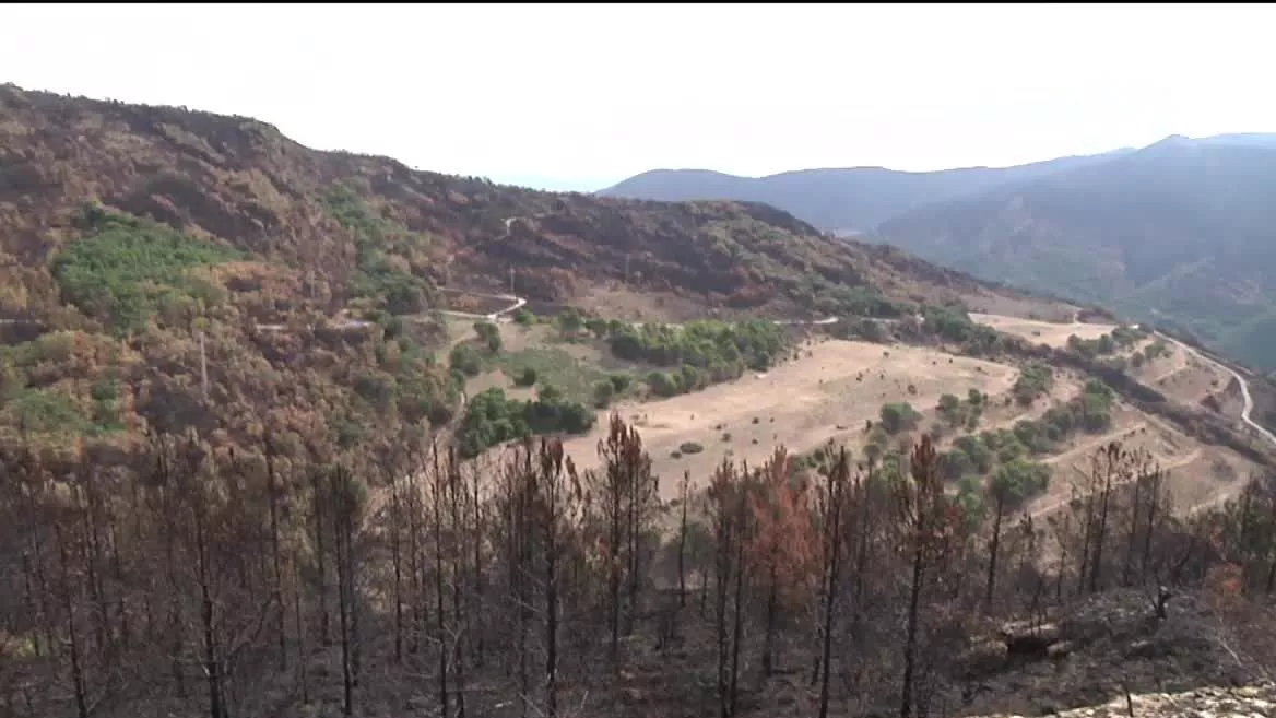 EITB Media ha estado en Arguiñáriz, en el municipio de Guirguillano, en Navarra. Como hemos podido comprobar, el trabajo de las y los ganaderos es clave también para controlar el fuego.