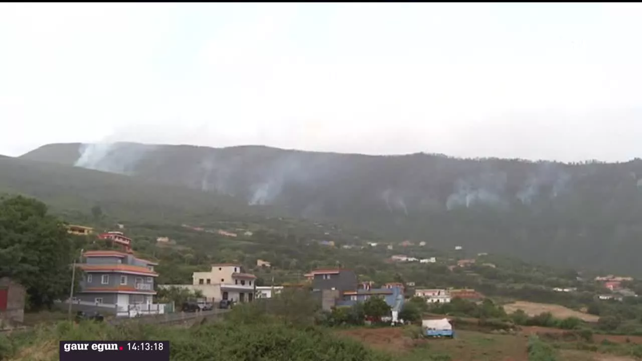 Tenerifeko sutea. EITB Mediaren bideo batetik ateratako argazkia.