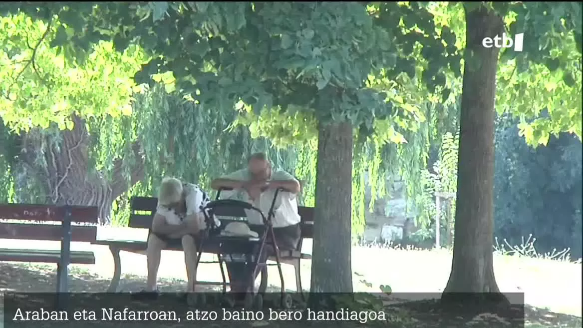 Araban, tenperatura maximoak 38 graduren bueltan kokatuko dira. Iruñean, Tuteran eta Lizarran, aldiz, 40 gradu ere izango dituzte.