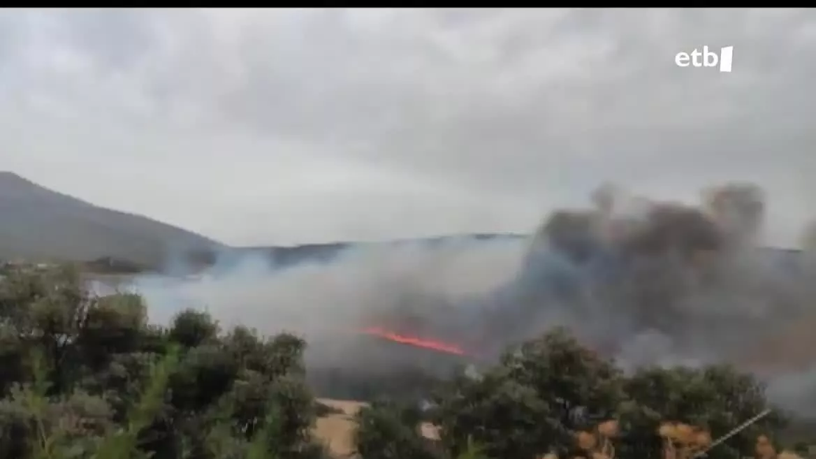 Nafarroako mugatik 20 bat kilometrora, Zaragozan, sute handia piztu da Moncayoko Parke Naturalean. Horren ondorioz, hainbat herri hustu behar izan dituzte.