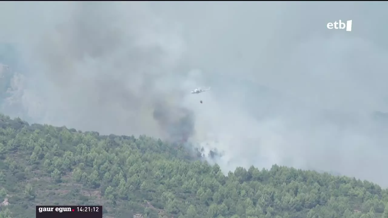 Bejiseko sutea. EITB Mediaren bideo batetik ateratako argazkia.