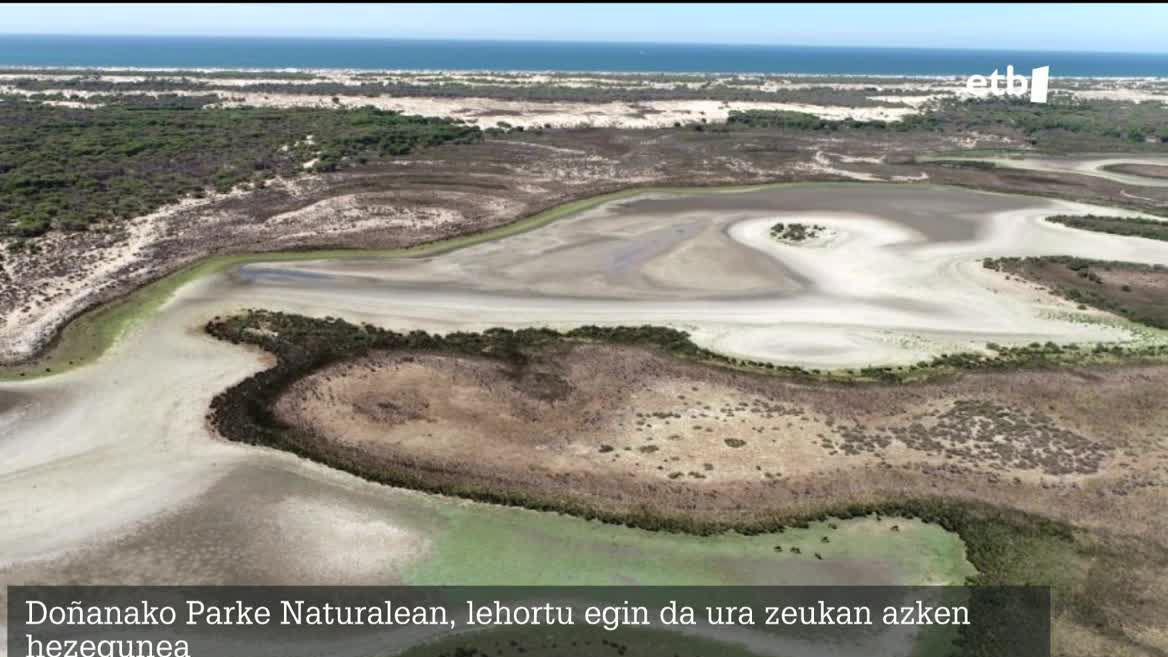 Aurtengo idortearen ondorioz, Santa Olallako hezegunea, parkean dagoen handiena, urik gabe geratu da. Hirugarren aldia da historian Doñana erabat lehortzen dela, arrisku larrian utzita bertako animalia eta landareak.