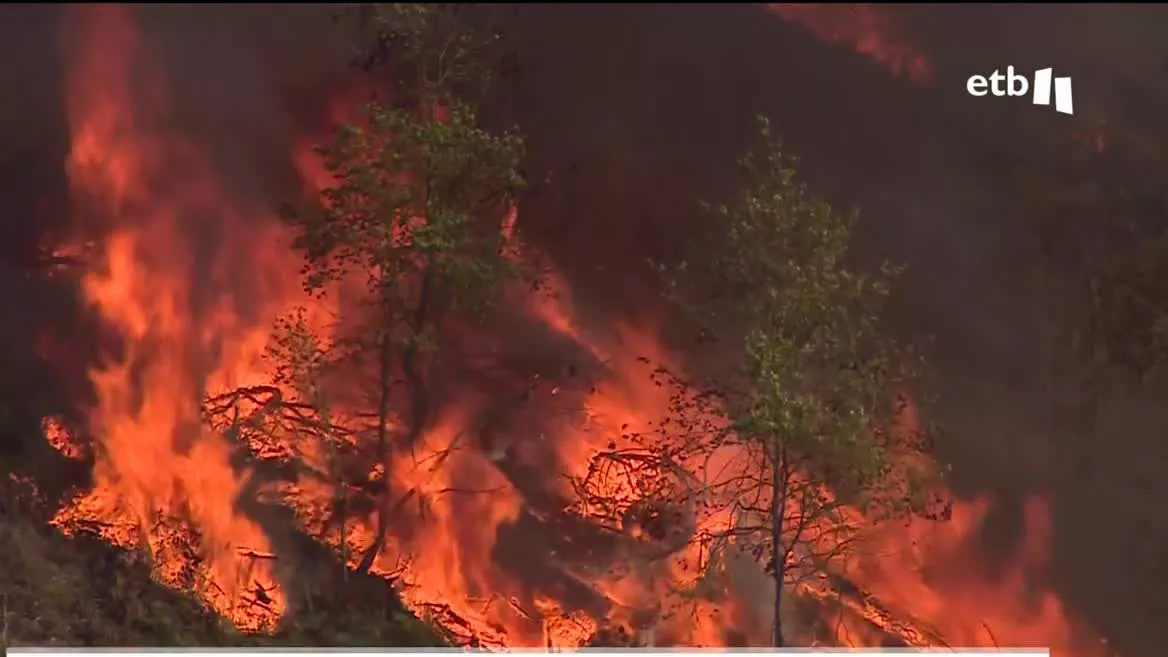 El fuego se ha desatado sobre las 15:00 horas de este domingo, y se temía que podía obligar a desalojar a algunos vecinos, aunque por el momento no ha sido necesario. Los bomberos continúan trabajando, y la situación ha mejorado en las últimas horas.