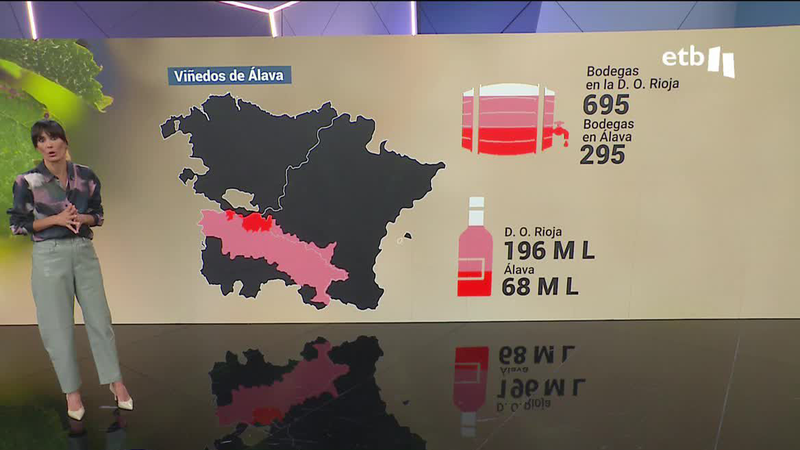En la actualidad, hay unas 300 bodegas alavesas oficialmente dentro de la denominación de origen Rioja. En 2021 produjeron 68 millones de litros de vino.