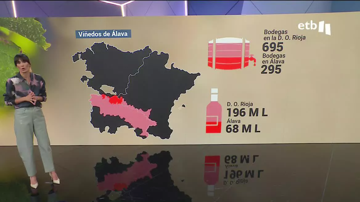 En la actualidad, hay unas 300 bodegas alavesas oficialmente dentro de la denominación de origen Rioja. En 2021 produjeron 68 millones de litros de vino.