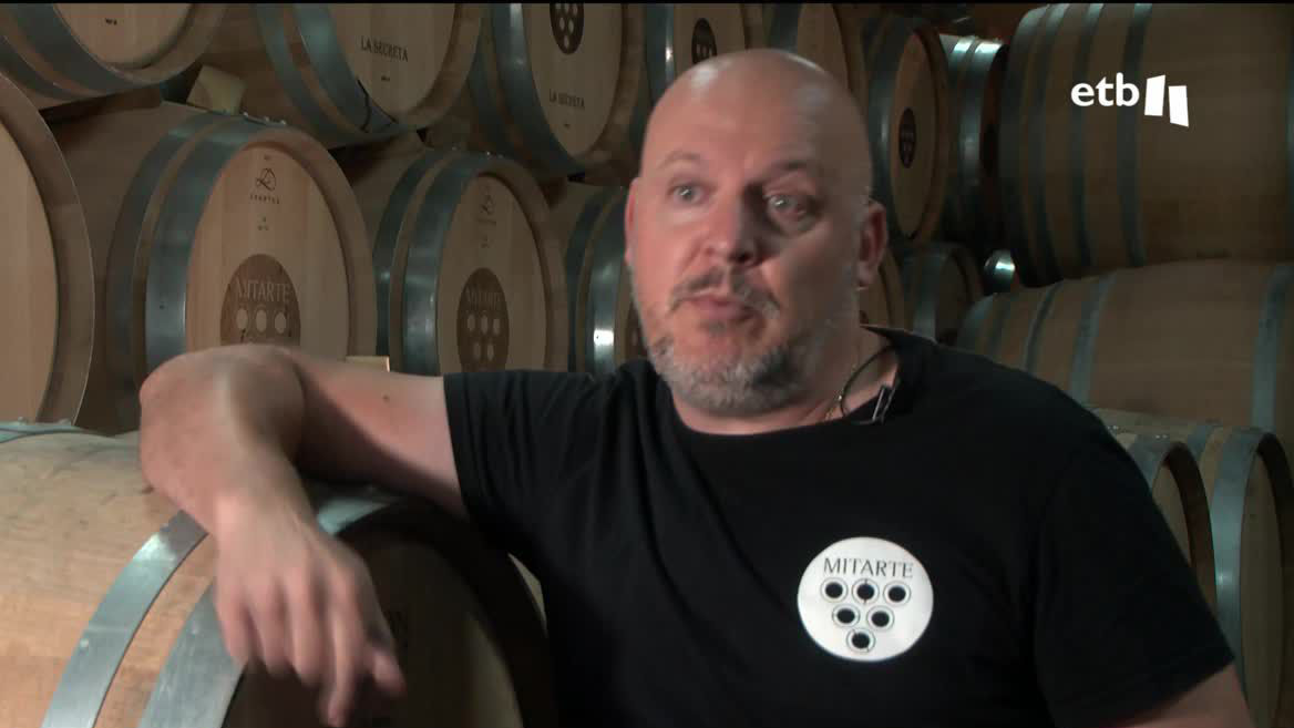 Viñedos de Álava