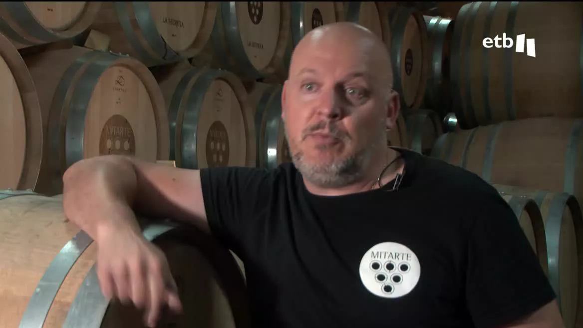 Viñedos de Álava