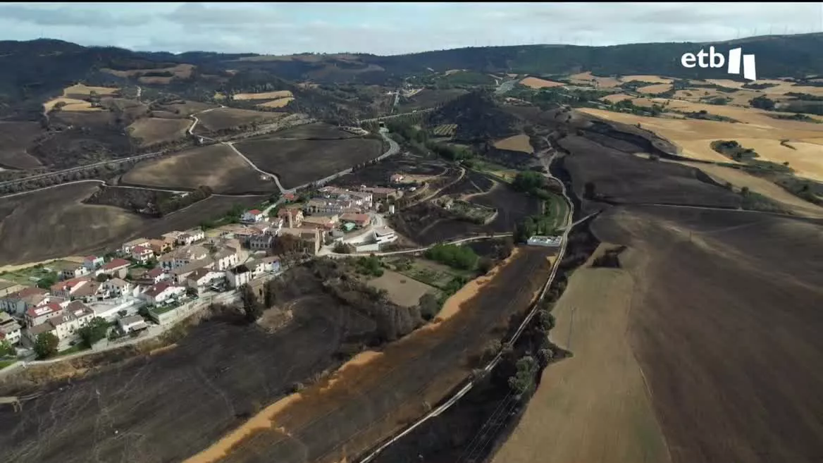 En pocos días, las llamas calcinaron 15.000 hectáreas, en Leire, San Martin de Unx, en Sendaviva y, sobre todo, en la Sierra del Perdón. El negro se ha apoderado de gran parte del monte. En Belaskoain, empiezan ahora las labores de reforestación.