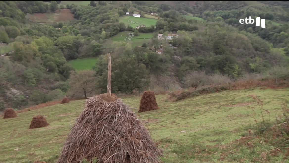 Durante siglos han sido parte de nuestro paisaje, pero están desapareciendo. Esas formaciones de hierba o helecho con las que se alimentaba y se hacía el lecho del ganado para todo el invierno están en vías de extinción. En Arantza encontramos al baserritarra Javier Taberna, quien las sigue usando.