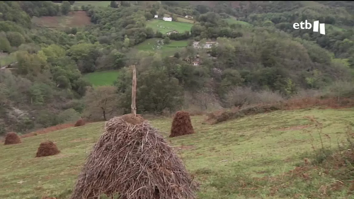 Durante siglos han sido parte de nuestro paisaje, pero están desapareciendo. Esas formaciones de hierba o helecho con las que se alimentaba y se hacía el lecho del ganado para todo el invierno están en vías de extinción. En Arantza encontramos al baserritarra Javier Taberna, quien las sigue usando.