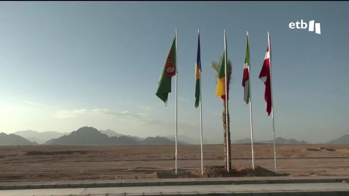 El mundo discute en la COP27 sobre el clima, en un contexto de aumento del calentamiento global. La experta en descarbonización y energía, la gasteiztarra Mercedes Maroto-Valer, está también en Egipto, trabajando de asesora para las Naciones Unidas.