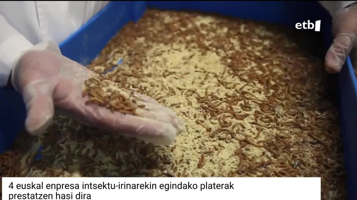 Intsektu-irinez baliatuta, hainbat plater diseinatu dituzte lau euskal enpresak, adineko pertsonei zuzenduta. Oraindik prototipoak dira, baina 2023an merkaturatzea dute helburu.