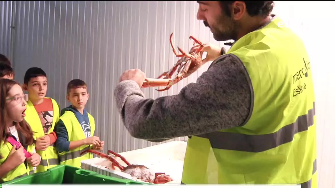 La educación alimentaria es fundamental para que los niños y las niñas tengan una dieta saludable. Hoy, algunos escolares han visitado Mercabilbao para tomar contacto con los productos frescos y conocer sus propiedades.