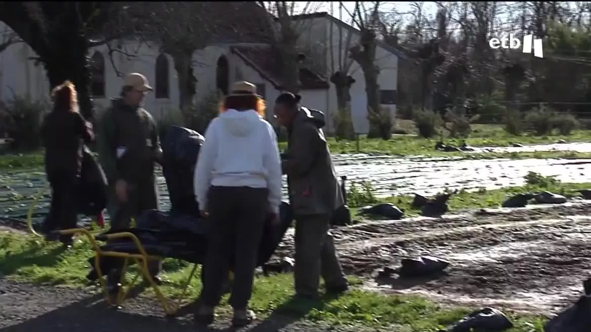 Se trata un proyecto innovador de reinserción que llevan a cabo en una granja situada en Tarnos, en las Landas, y muy cerca de Baiona. El objetivo es que aprendan a trabajar y participen en un proyecto de formación, teniendo como meta que cuando sean libres tengan un trabajo y una vivienda.