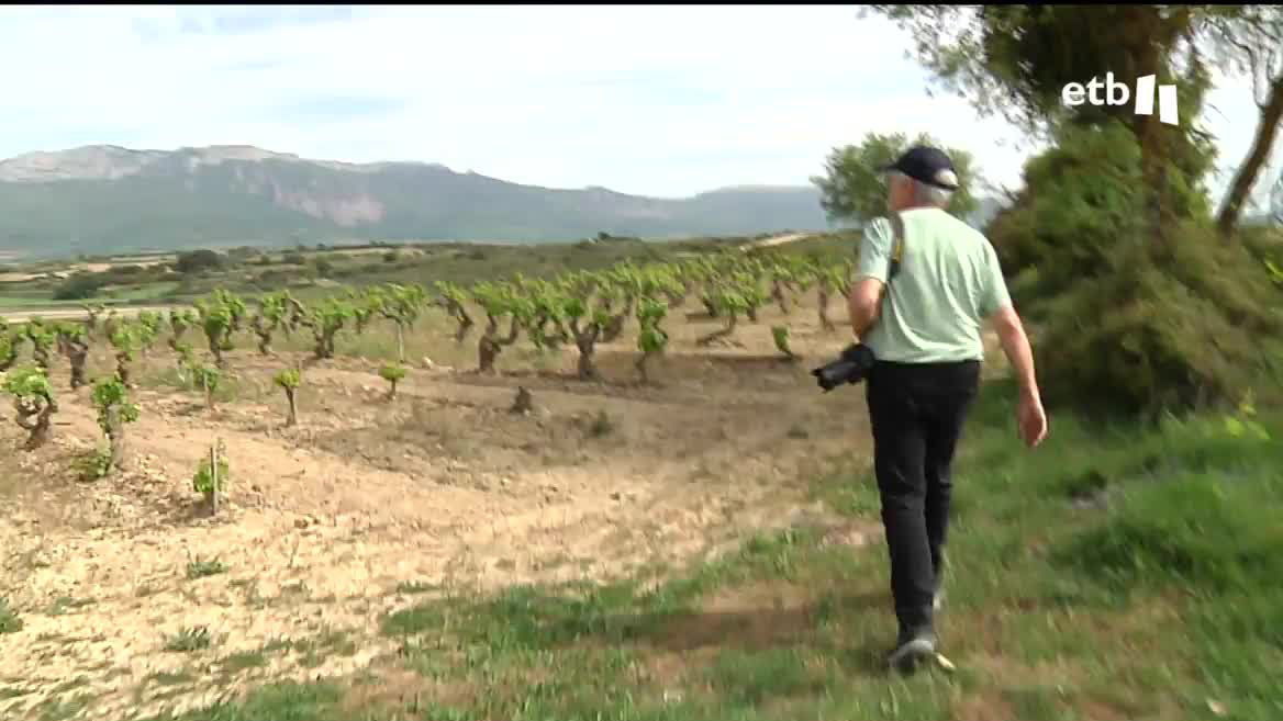 Este año ha llovido mucho menos que el año pasado, no hay más que ver las lagunas de Laguardia. Se están aplicando restricciones en el uso del agua en la Rioja Alavesa.