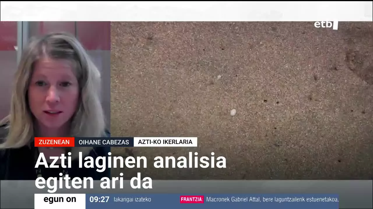 Aztiko ikerlariak esan du oraindik ez dutela ondoriorik atera, alegia, ikertzen ari direla Zierbenako Arena hondartzan agertu diren plastikozko pinportak isuritik datozen ala ez. "Oso ohiko materiala da, askotan ikusten ditugu horrelako pinportak, ez dakiguna da horien jatorria zein den", esan du.