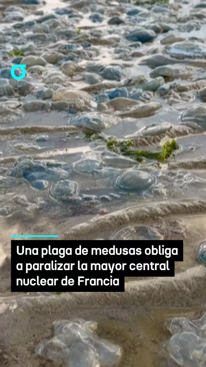video feed poster
