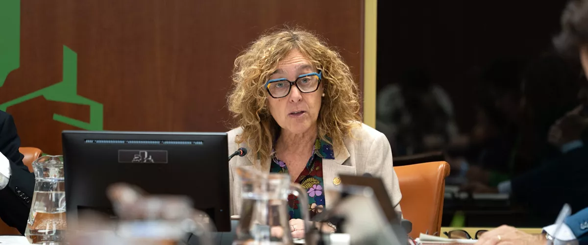 Susana García Chueca aurrekontuak Legebiltzarra