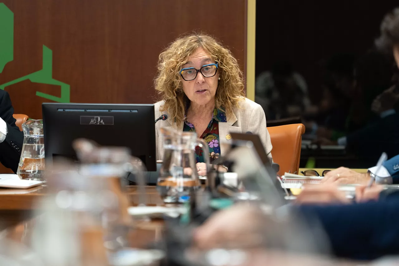 Susana García Chueca aurrekontuak Legebiltzarra