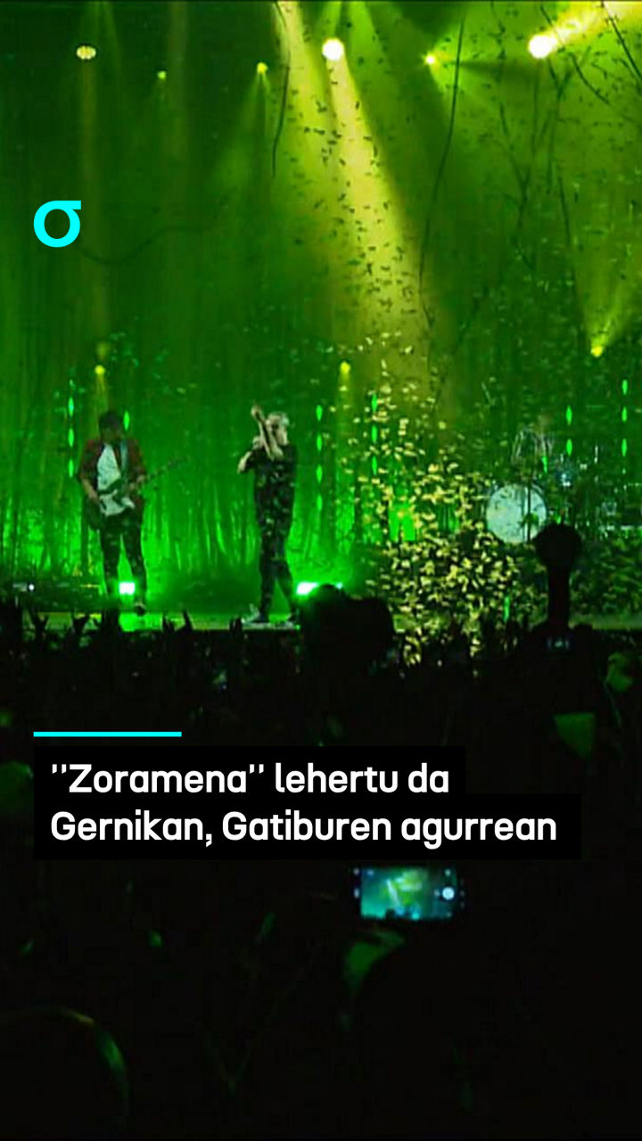 video feed poster