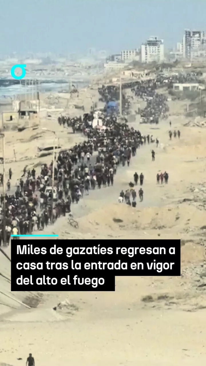 video feed poster