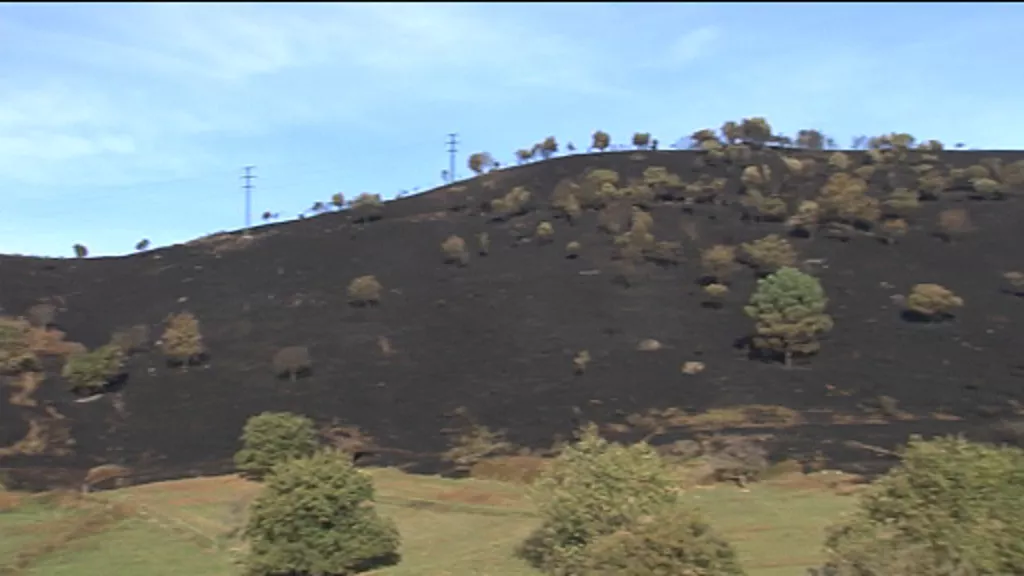 Imagen de parte de las consecuencias del fuego, que se ha reactivado. Foto: EiTB.