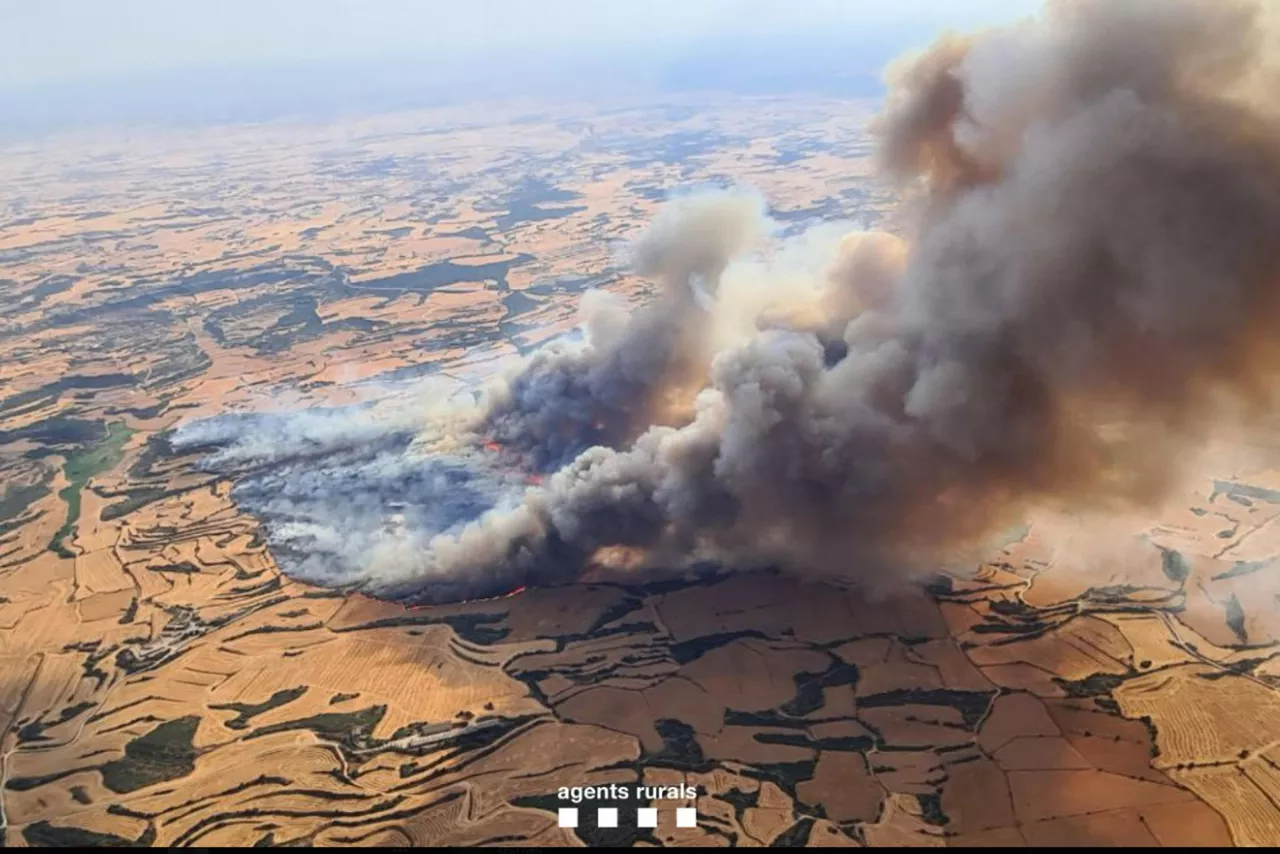 incendio lleida sutea