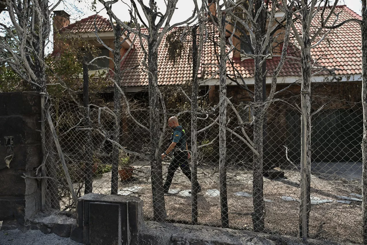 TRES CANTOS (MADRID), 12/08/2025.- Efectivos de la Guardia Civil inspeccionan una zona calcinada por el incendio que desde ayer afecta a la localidad de Tres Cantos, Madrid, que ya está perimetrado y evoluciona favorablemente. EFE/Fernando Villar

