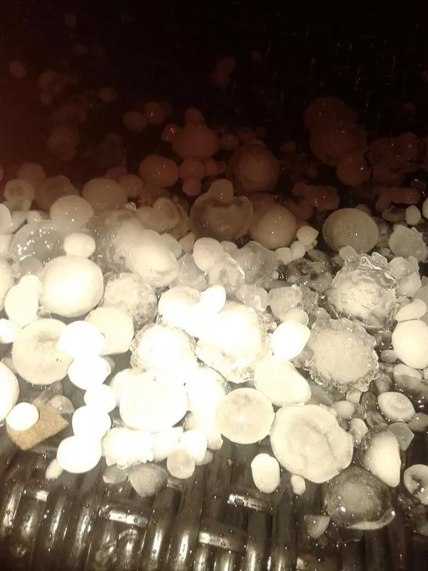 Txingorra Irunen. Argazkia: @Ley_apuerta