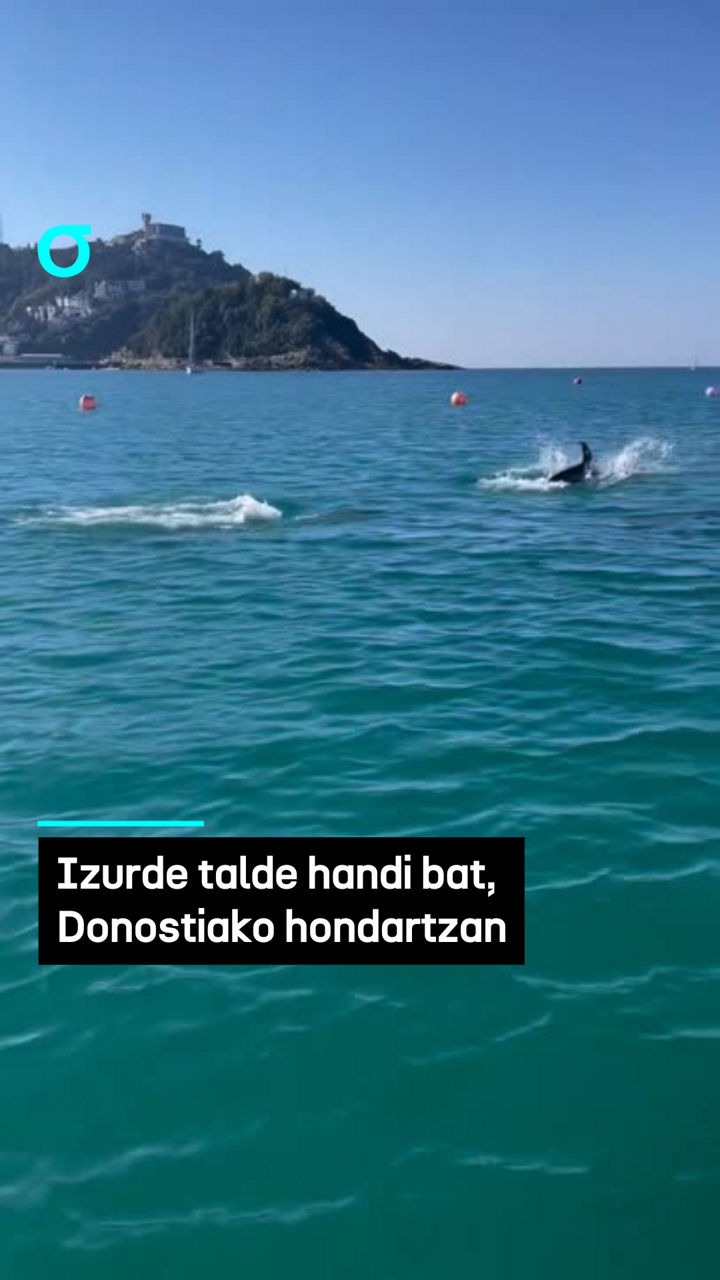 izurdeak