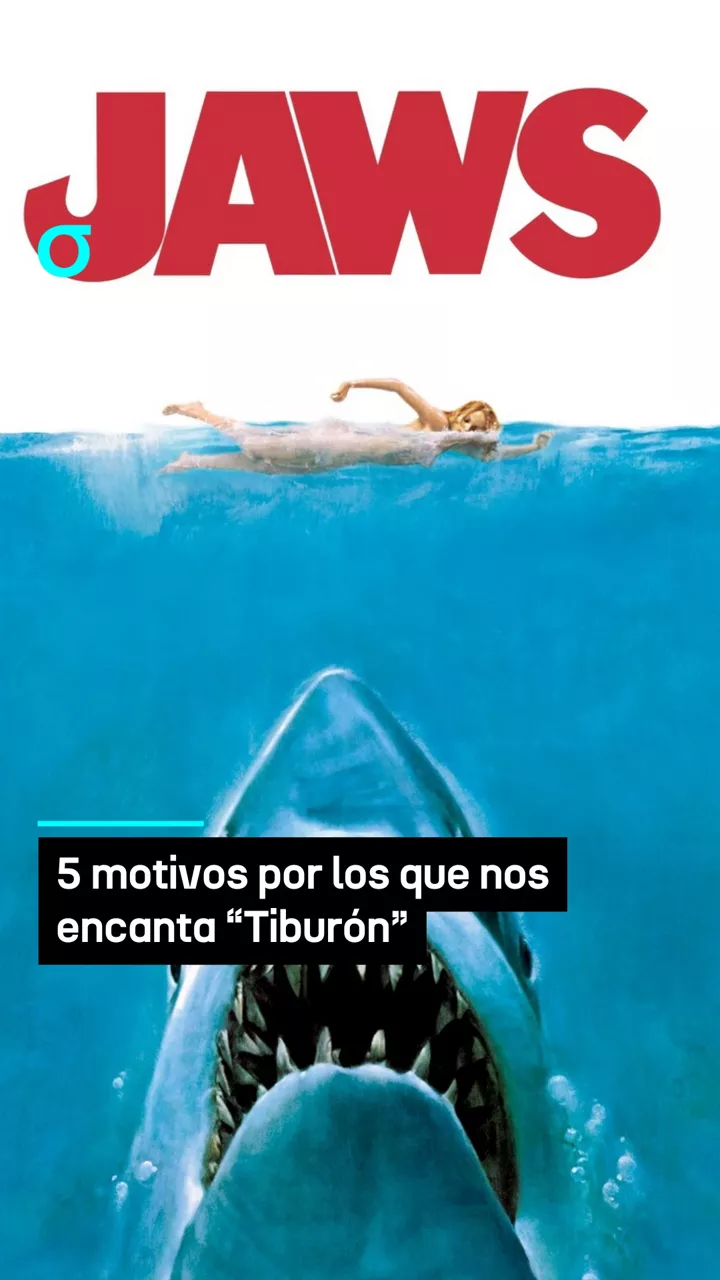 video feed poster