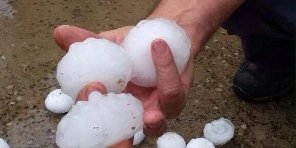 Txingorra Eskuernagan. Argazkia: @FranckDolosor