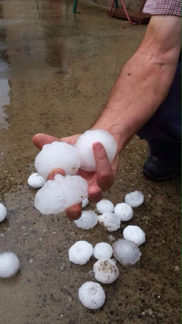 Txingorra Eskuernagan. Argazkia: @FranckDolosor