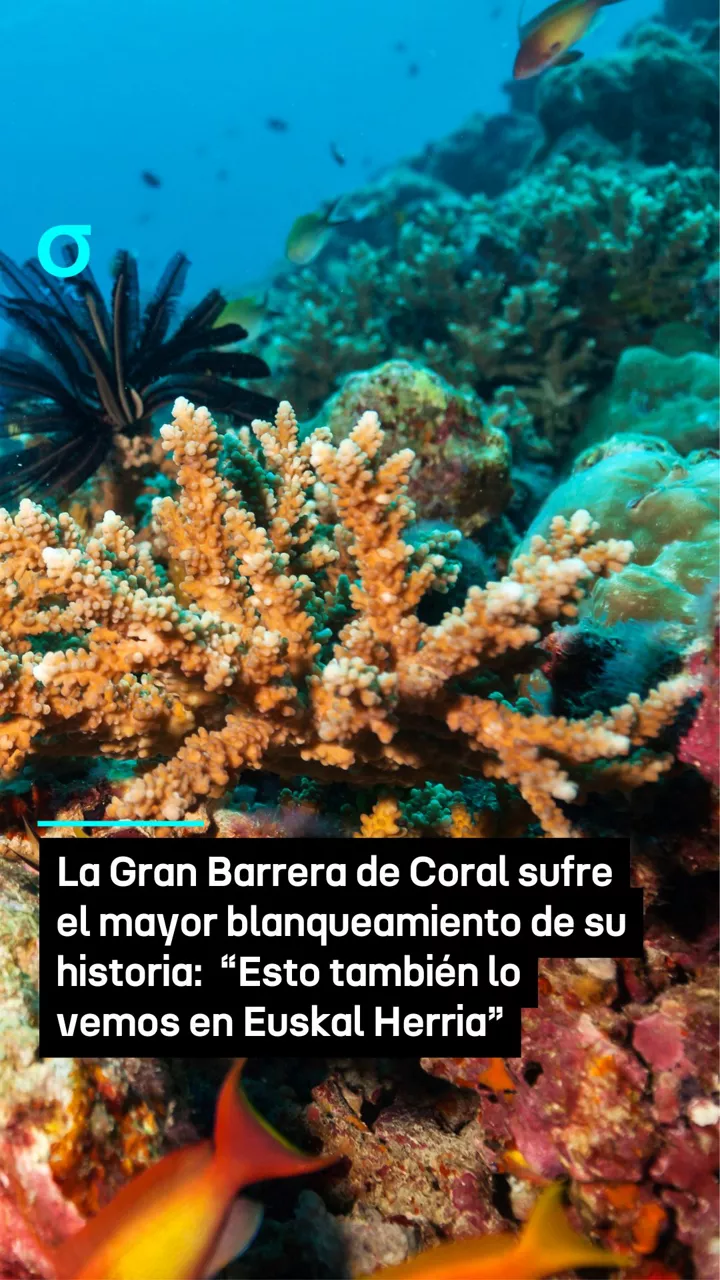 video feed poster