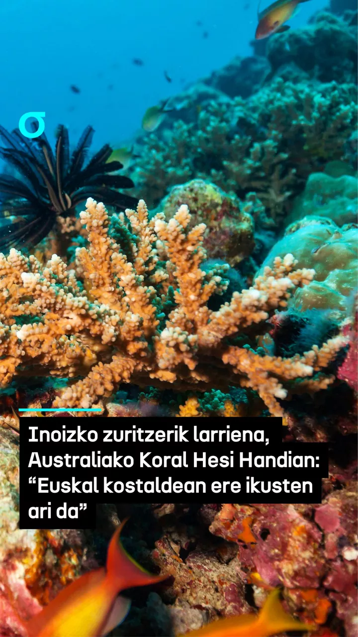 video feed poster