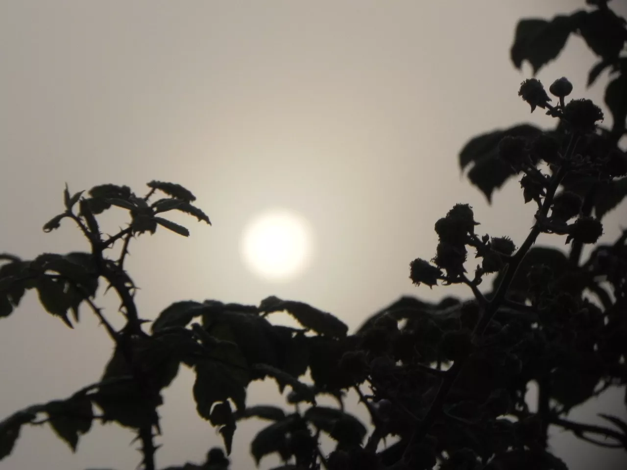 Laudio (Araba). Argazkia: Iñaki Arteta.