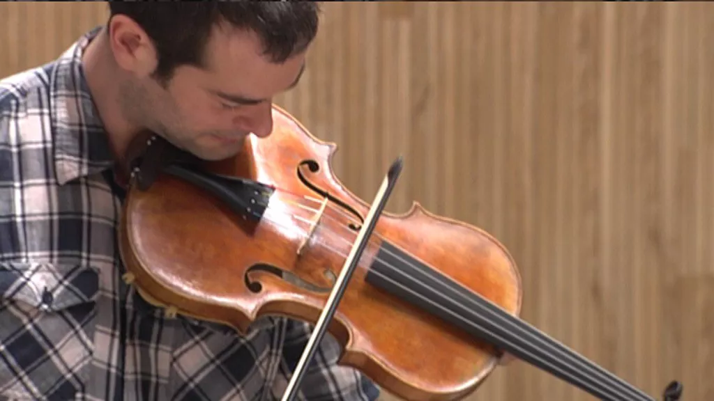 luthierra lutier biolina violín