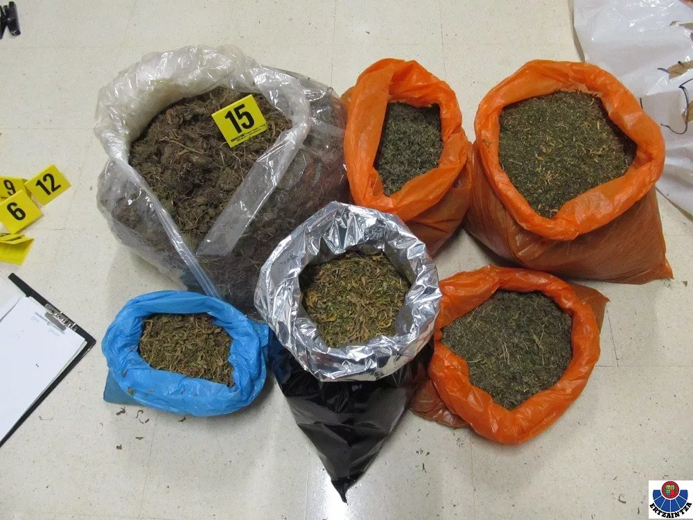 Marihuana Gasteiz Vitoria. Foto: Ertzaintza