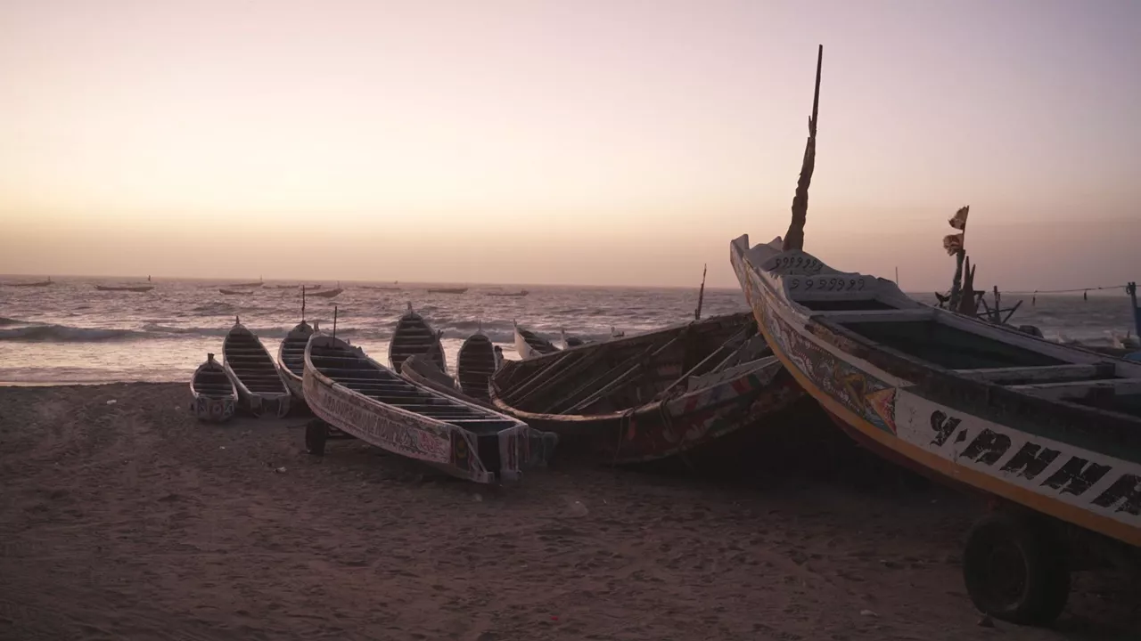 Paterak Mauritanian