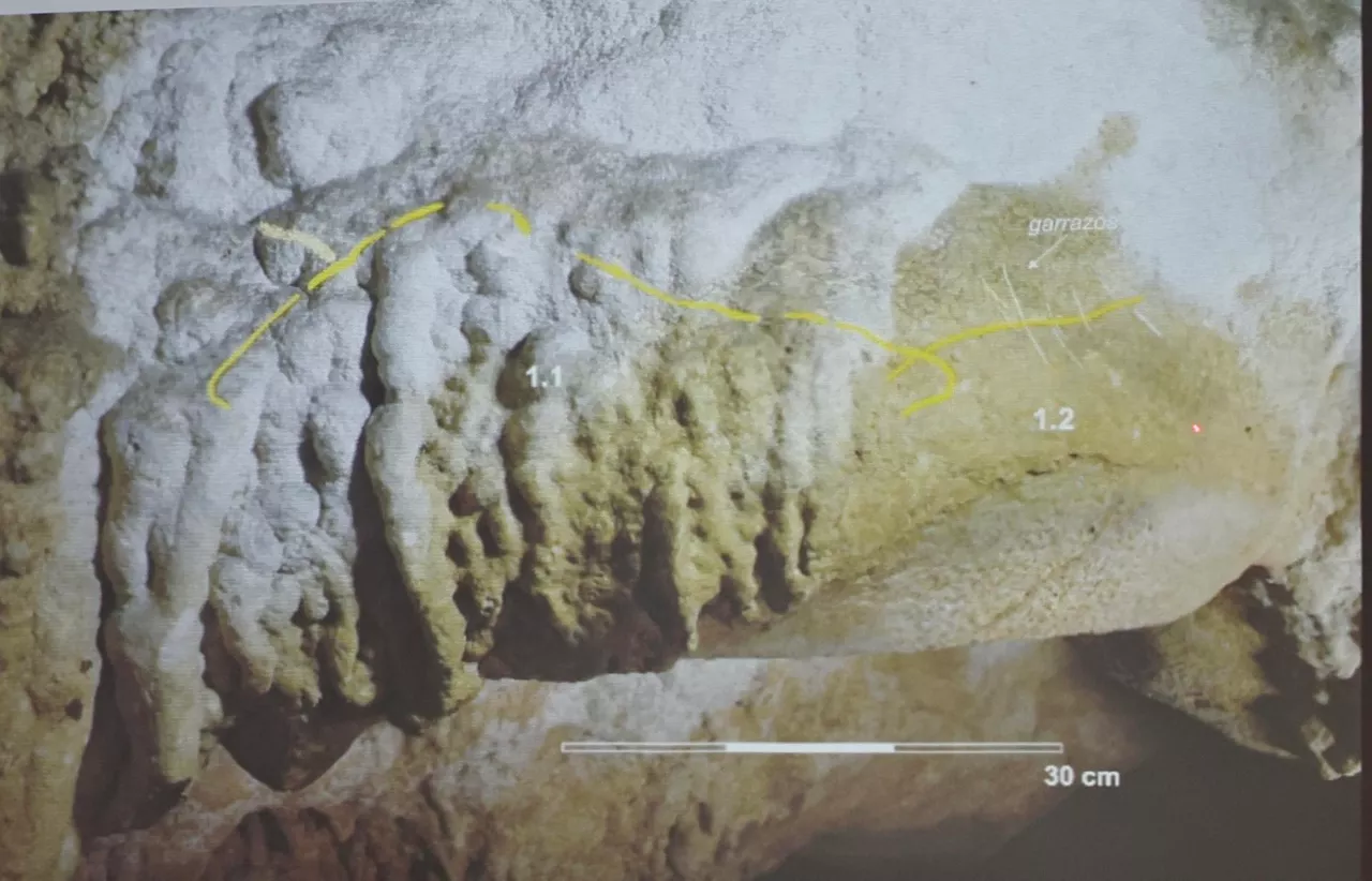 MENDARO (GIPUZKOA), 17/10/2025.- Presentación este viernes en la localidad de Mendaro de un nuevo hallazgo de arte rupestre en la cueva guipuzcoana de Santakutz, que contribuye a ampliar el conocimiento de la prehistoria en el País Vasco. En la imagen paneles con grabados antrópicos paleolíticos donde destacan dos figuras inacabadas de animales, un bisonte y una cabra, y varios trazos no figurativos. EFE/Javi Colmenero.
