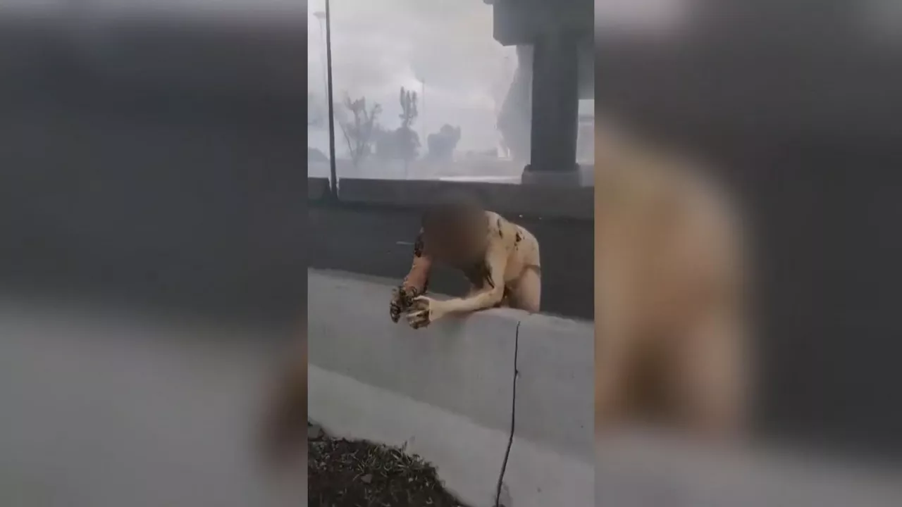 Explosión en México