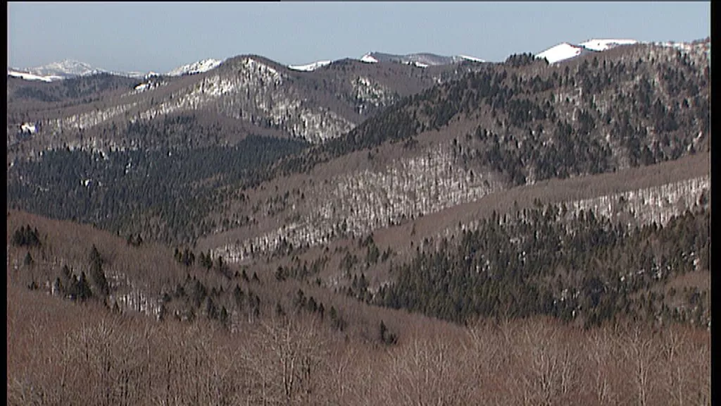 Orhi. Imagen de archivo: EiTB