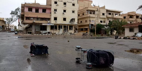 Palmira. Foto: Mikel Ayestaran.