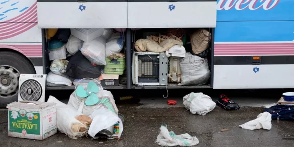 Palmira. Foto: Mikel Ayestaran.