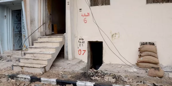 Palmira. Foto: Mikel Ayestaran.