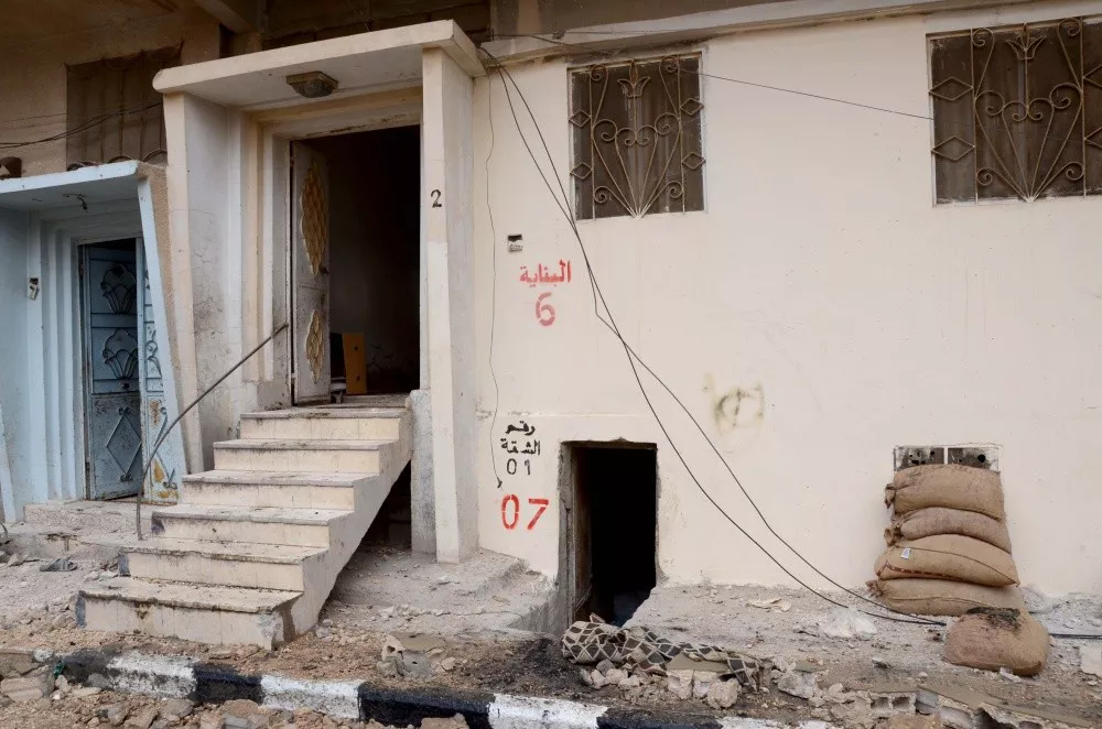 Palmira. Foto: Mikel Ayestaran.