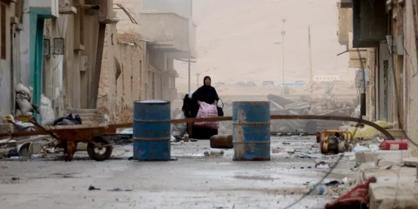 Palmira. Foto: Mikel Ayestaran.