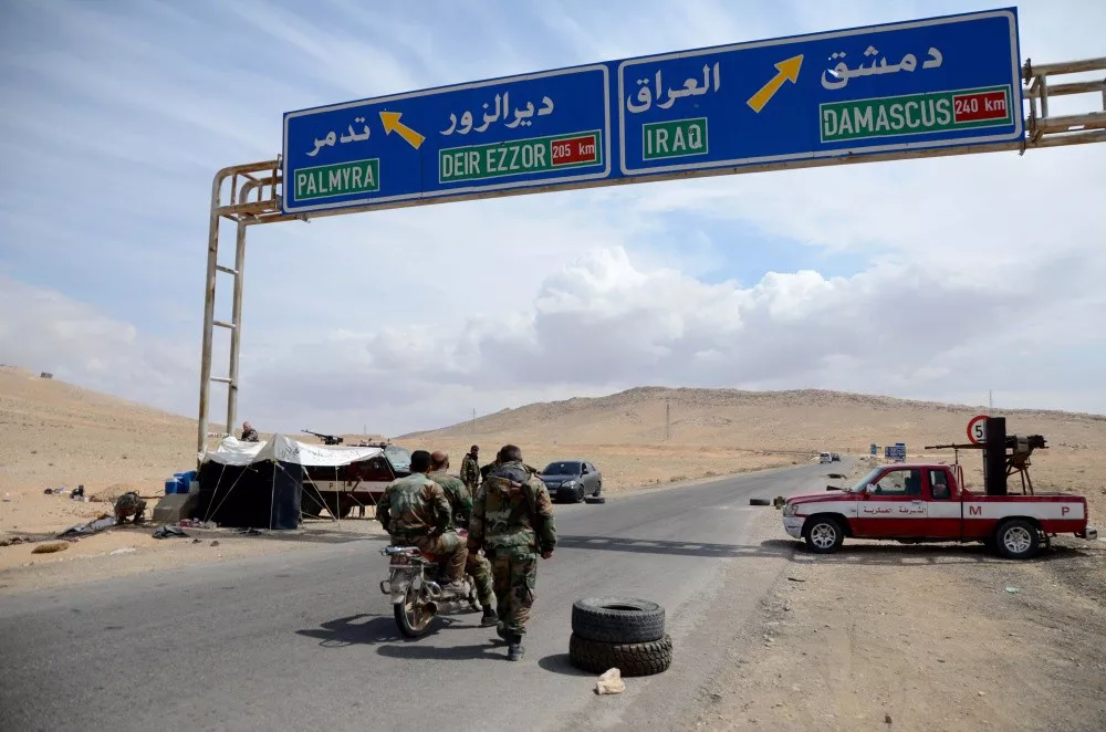 Palmira. Foto: Mikel Ayestaran.